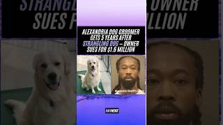 Dog Dies at Grooming Appointment — Groomer Sentenced, Business Faces $1.6M Lawsuit #dmvnews