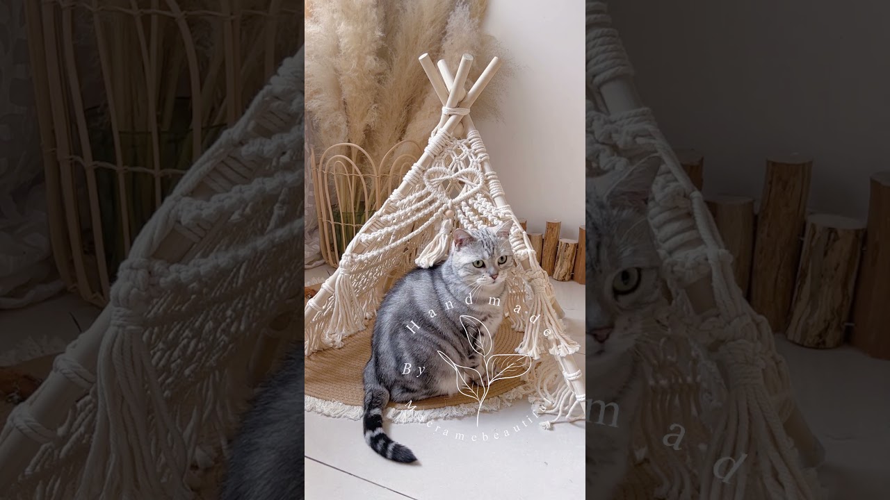 Use our macrame cat tent to create a nice spot for your cat to relax and be curious