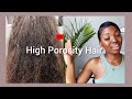 HIGH POROSITY HAIR chat | What Causes high porosity hair, Characteristics, Maintenance, Oils