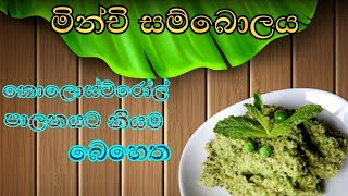 How To Make Mint Sambol ?? Healthy Recipe recipe healthy mint srilanka