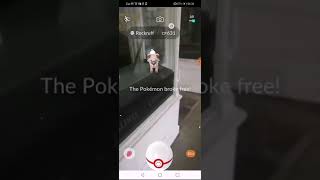 T 1 Rockruff Raid Ar Will It Be Shiny