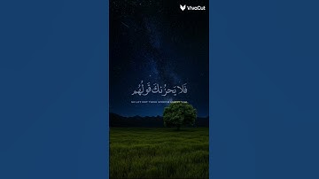 فلا يحزنك قولهم // القارئ محمد هشام