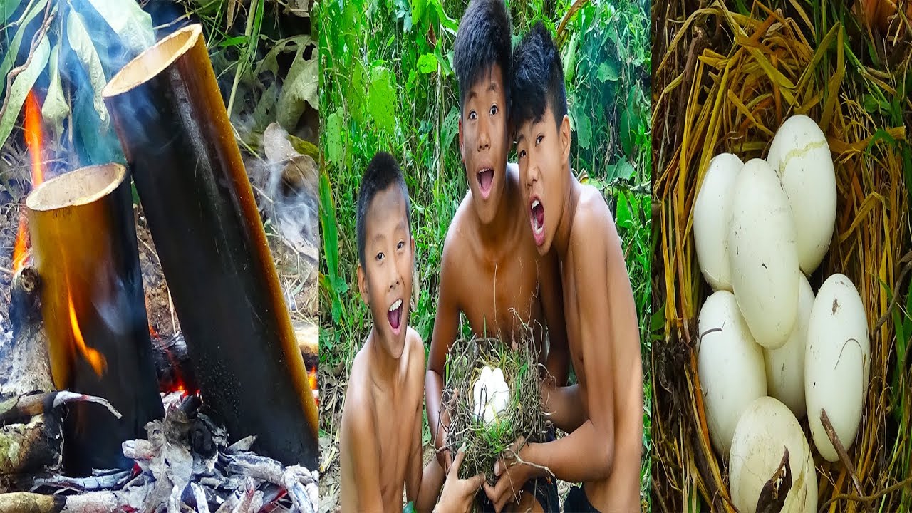 Primitive skills : The boys wild find chicken nest with a lot of eggs || Smart boys cooking eggs