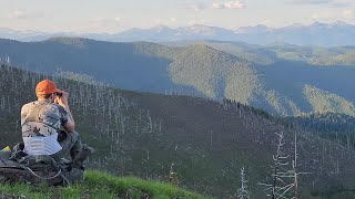 Late Season Idaho Spring Bear Hunt