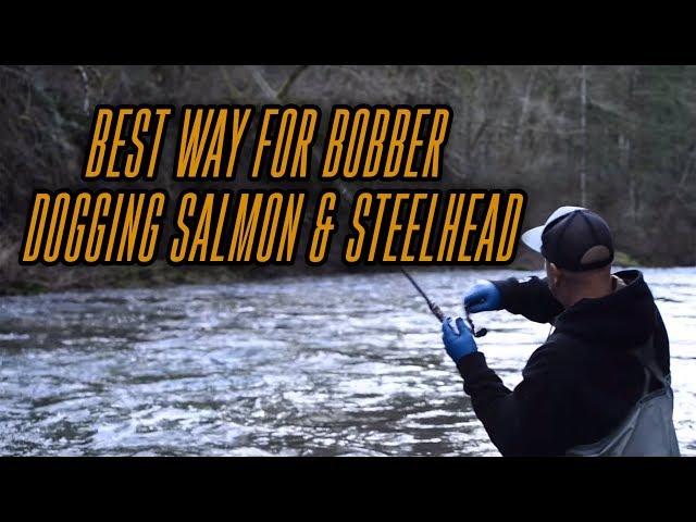 BEST WAY For Bobber Doggin for Salmon & Steelhead Fishing! 