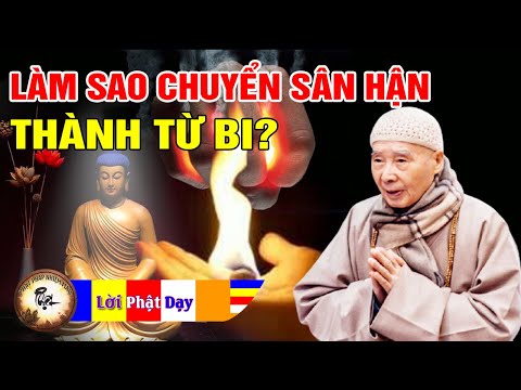 Làm thế nào chuyển Sân Hận thành Từ Bi? Pháp Sư Tịnh Không trả lời vấn đáp | Phật Pháp Nhiệm Màu