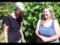 sunchokes aka jerusalem artichokes - highest calories per acre and easiest to grow