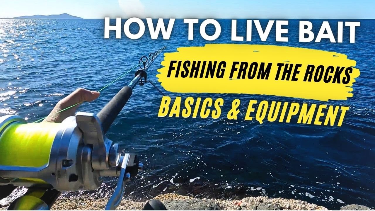 How to Live Bait - Fishing From the Rocks [Basics & Equipment] - YouTube