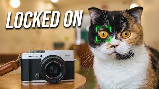 Animal Subject Detection Autofocus on OM System PEN