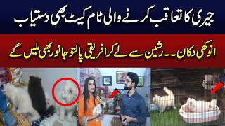 Unique Pet Shop of Lahore | Pet Animals Sale | 89 News HD