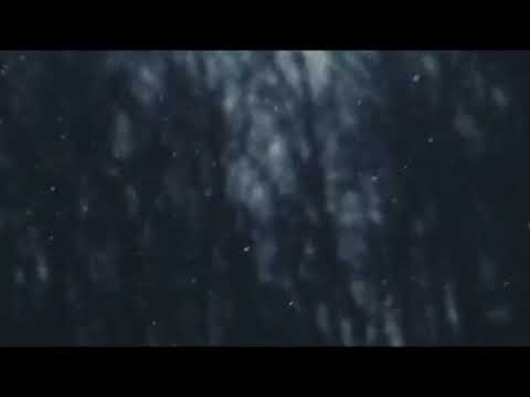 ნიკოლოზ წვიმა   ''გთმობ'