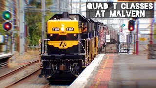 Quad T Classes at Malvern - Steamrail Xmas Special December 2023