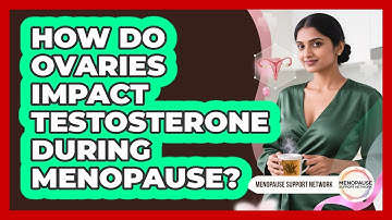 How Do Ovaries Impact Testosterone During Menopause? - Menopause Support Network