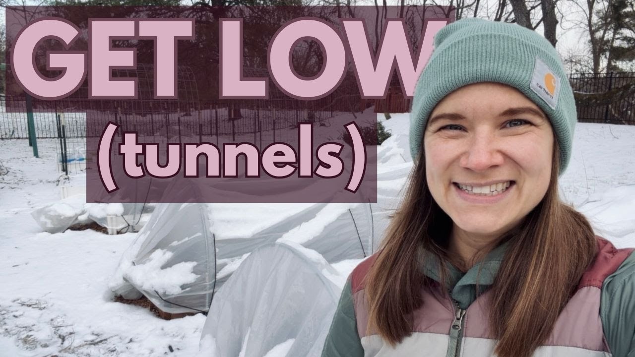 How I Built My Low Tunnels + Tour of Overwintered Cool Flowers