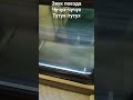 Звук поезда чучух-чучух тутух-тутух