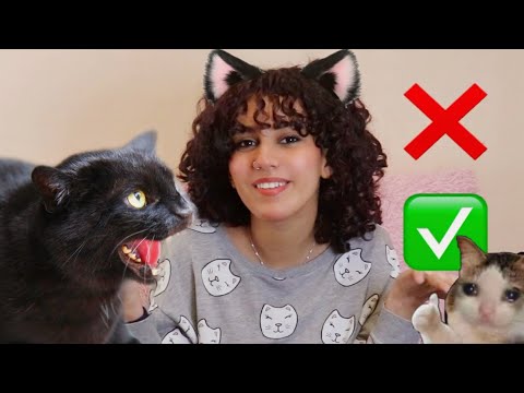 الطريقه الصحيحه لقص اضافر القطه التعامل مع القطط الشرسه بدائل للقص