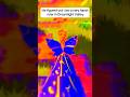 My villagers know not to cross me #disneydreamlightvalley #funnygaming #cozygaming #gamingclips