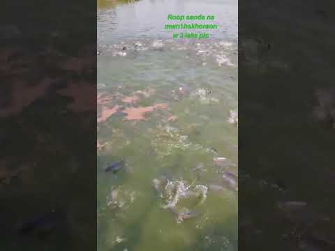 𝙧𝙤𝙤𝙥 𝙨𝙖𝙣𝙙𝙖 𝙣𝙖 𝙢𝙬𝙣 1 𝙝𝙖𝙠𝙝𝙤𝙧𝙖𝙤𝙣𝙬 3 𝙡𝙖𝙠𝙨 𝙥𝙞𝙘