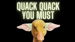 STARWARS NITE DISNEYLAND! - Episode Three with the Quack Pack!