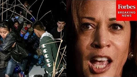 'She Doesn't Care': GOP Lawmaker Decries Kamala Harris Over Border