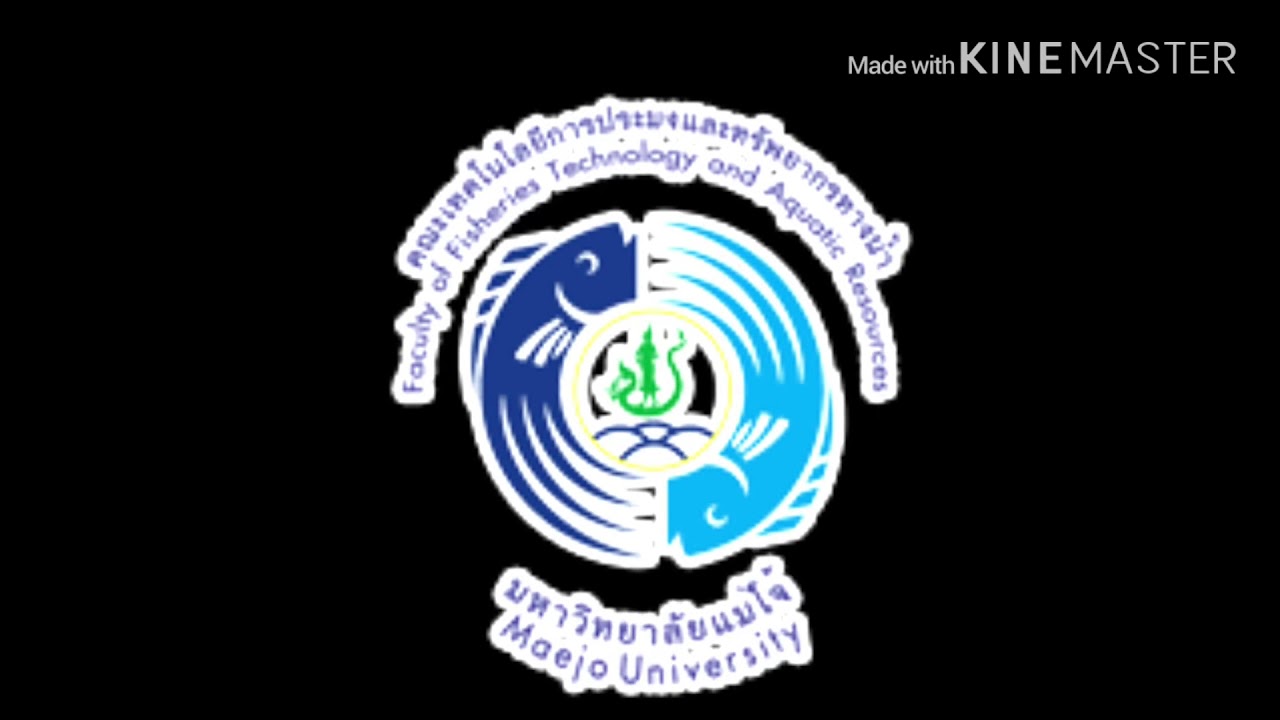 Biology of clarissa ปลาดุก - YouTube