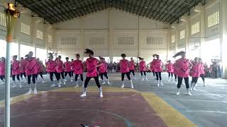Freshmen Cheerdance -Flaming Flamingos