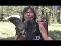 Trail Runners or Boots? Hiking the PCT