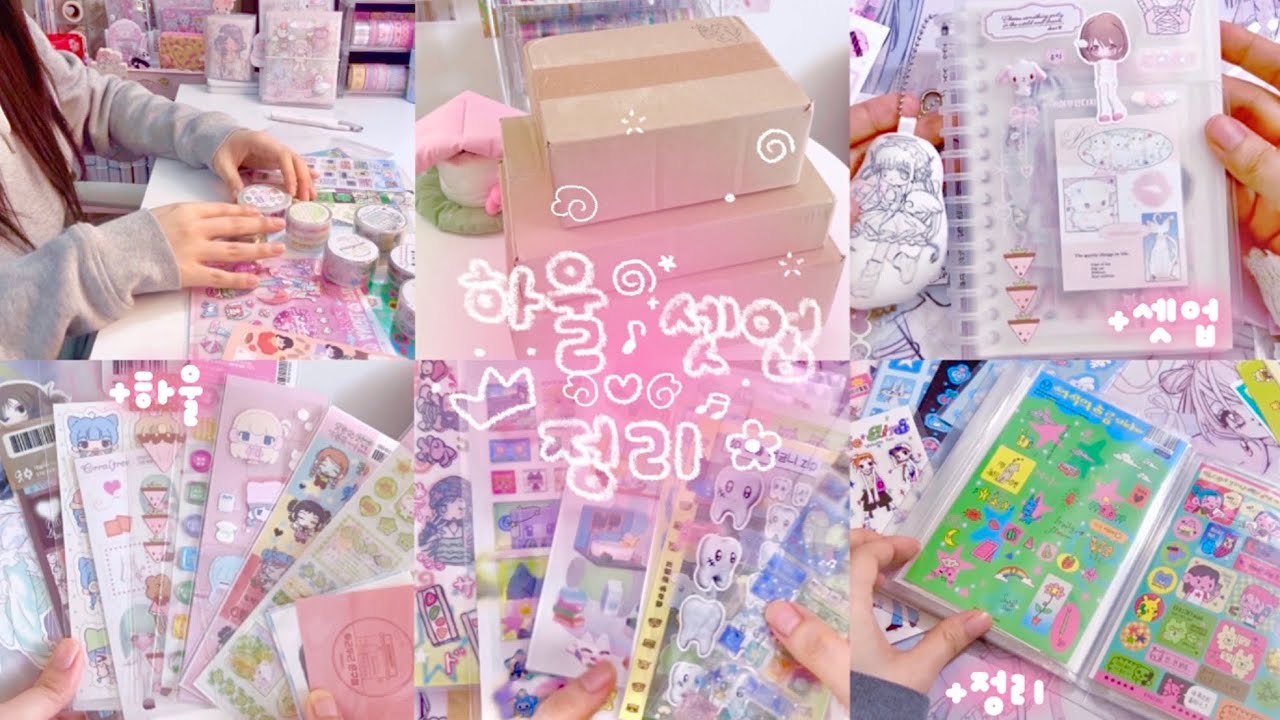 ꙳⸌♡⸍꙳ 다꾸 하울하고 이형지북 셋업하고 스티커 정리로 마무리하기 .｡o♡  15군데 언박싱📦