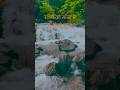 Tamini Ghat Monsoon and this song #anuragdunboy #taminighat #monsoon #westernghats #river #rain #god