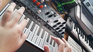 #Jamuary2022 - Day 20 - Arturia Microfreak + Ableton Bouncy Notes // Lotus Shower