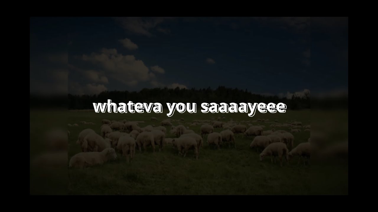 Lorvins - Whateva You Say Lyric Video feat Zoog