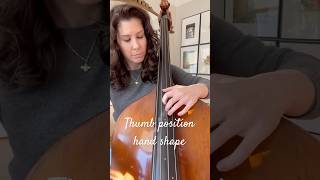 The perfect thumb position hand shape on double bass
