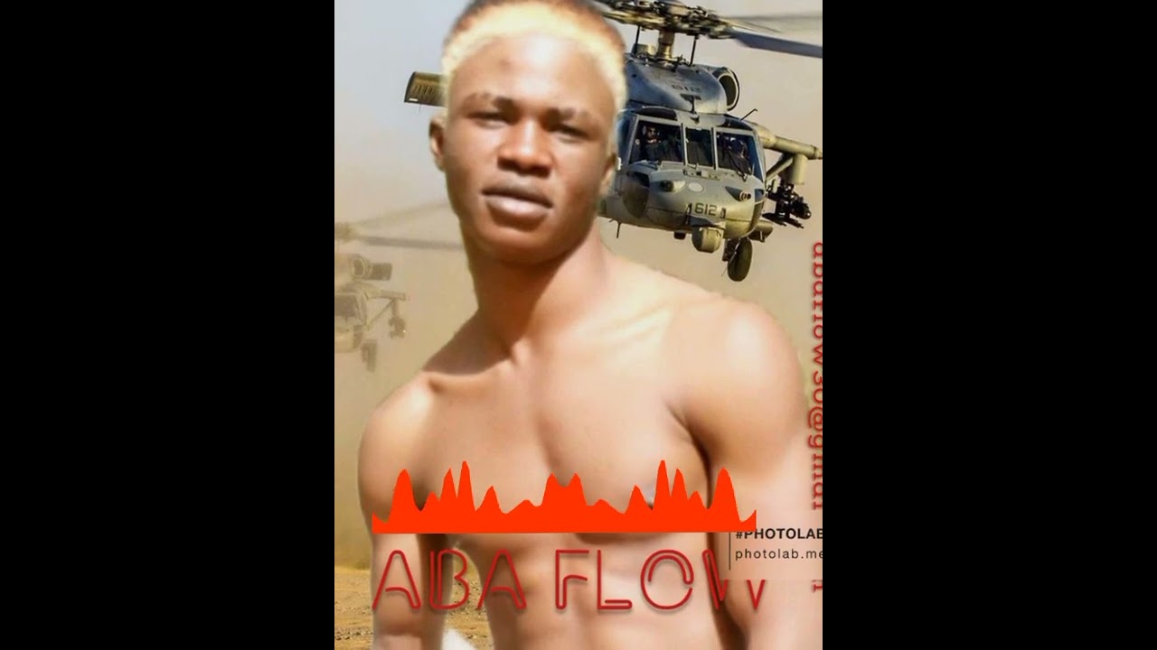 ABA FLOW GAO