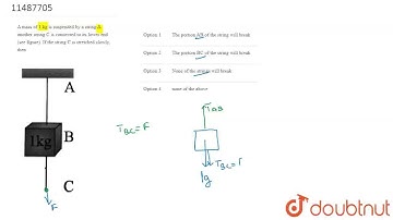 A mass of 1 kg is suspended by a string A. another string C is connected to its lower end (see ...