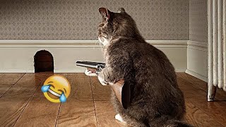 😂🐱 So Funny! Funniest Cats and Dogs 2024 🤣🐈 Best Funniest Animals Video 2024 #6