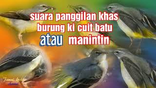 suara pikat burung ki cuit batu