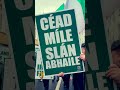 Cork City Council Remove thousands of Irish Flags! Cork Rebels Re-Erect The Flags! Well done!