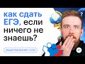 Как сдать ЕГЭ по ОБЩЕСТВОЗНАНИЮ, если ничего не знаешь? | Быстрая подготовка | ЕГЭ 2023 | СОТКА