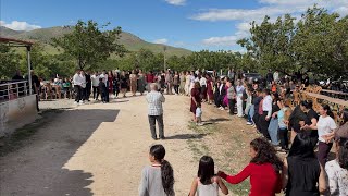 Malatya Ören ( Şevko Hedi Hedi )