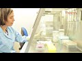 Protocolo técnica PCR — OPERON