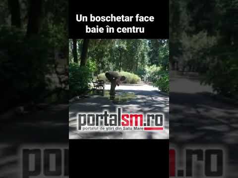 Un boschetar face baie în centrul orașului Satu Mare