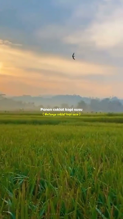 🔴 Story Wa Lirik Lagu 🎶 Runtah ║Story Wa 30 Detik Terbaru 2022 🔥 #storywaterbaru