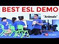225 - ESL Demo Lesson | Animals Demo Tips | Teaching in China | New Demo By Muxi |