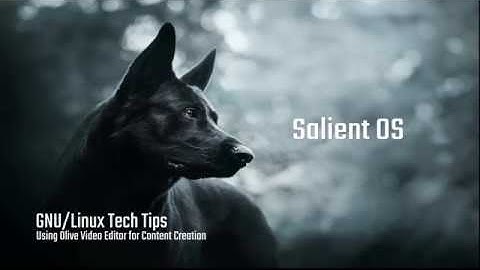 GNU/Linux Tech Tips - Using Olive for Content Creation