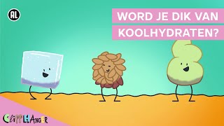 Wat Zijn Koolhydraten?