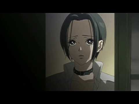 nana & hachi | what happened to us…