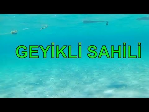 Video: Kuzey Goa'daki En Iyi Plajlar: Genel Bakış