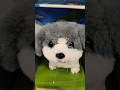 🐕🐶🦴 Furry Friends Plush Puppy Dog Pretend Pet with Doghouse and accessories #shorts #trending #viral
