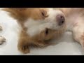 Sleeping
