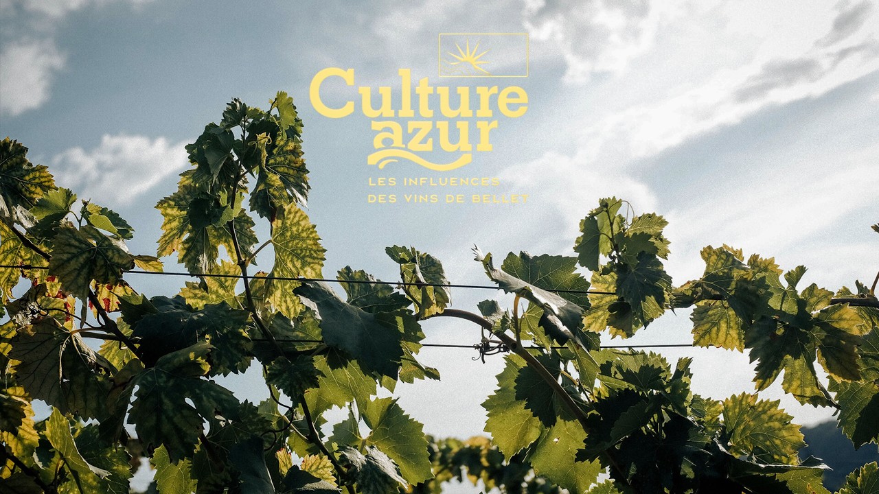 CULTURE AZUR - LES INFLUENCES DES VINS DE BELLET